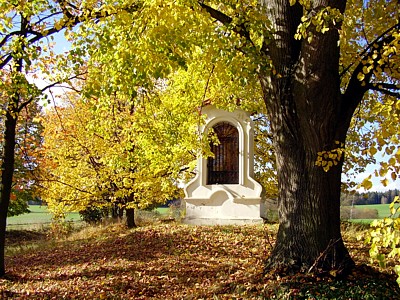 Kaple v Brandln - Vzpov manelky Vclava IV. sv. Janu Nepomuckmu